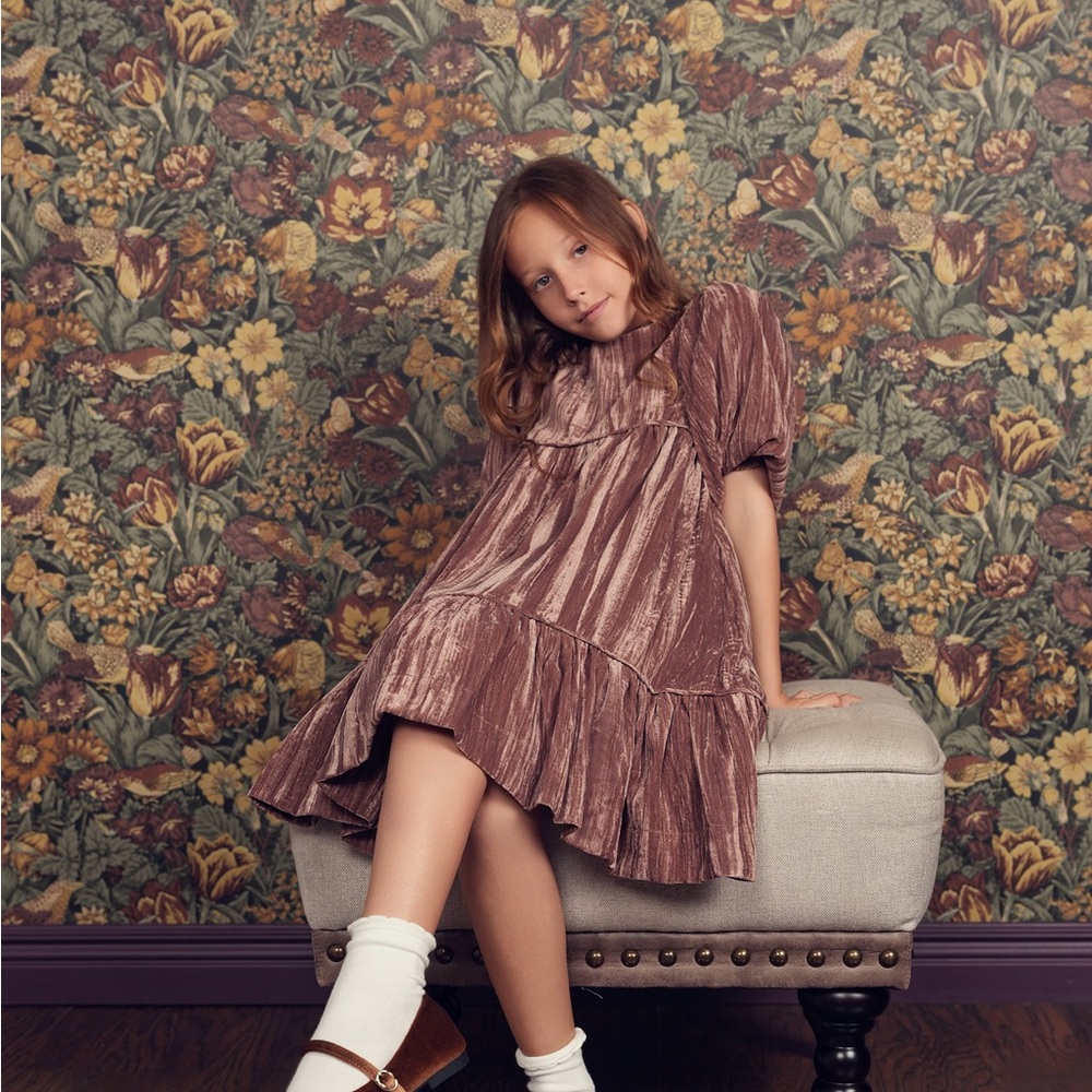 TEELA ROSE CRUSHED VELVET DRESS